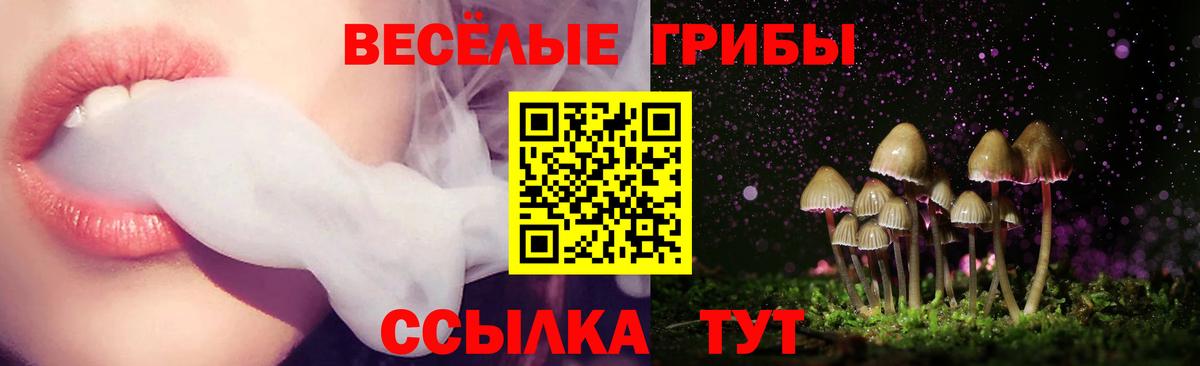 Галлюциногенные грибы прущие грибы Тимашёвск